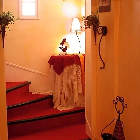 Le Dauphin 3*